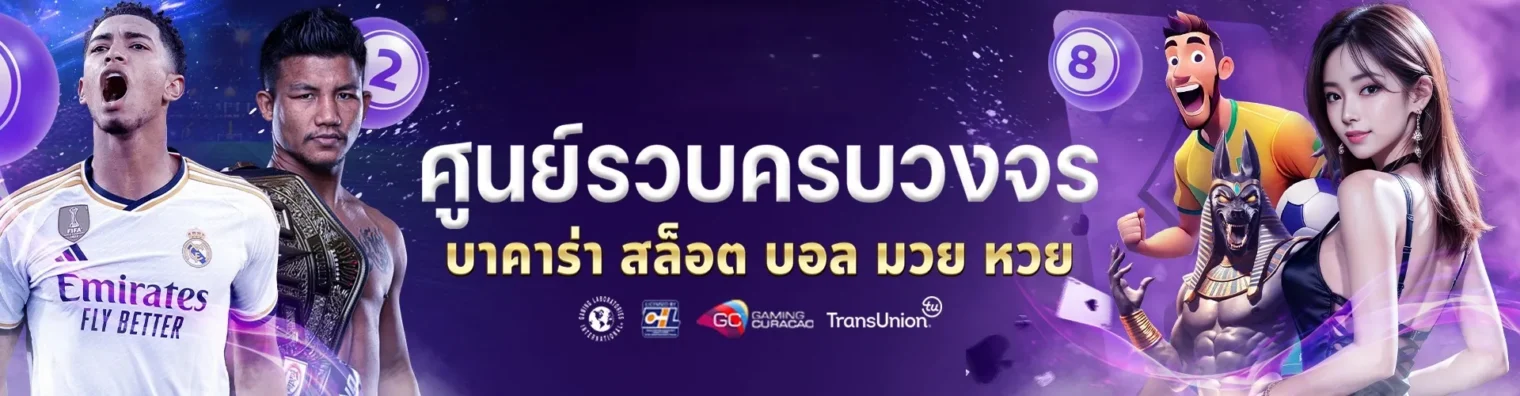 wink555plus เข้าสู่ระบบ